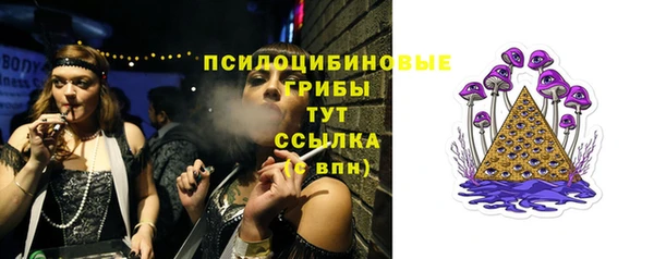 МДПВ Нягань