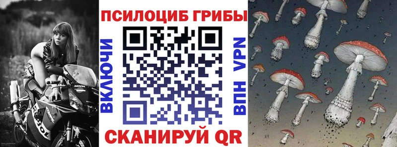 Псилоцибиновые грибы Magic Shrooms  купить наркотики цена  mega зеркало  Александровск 